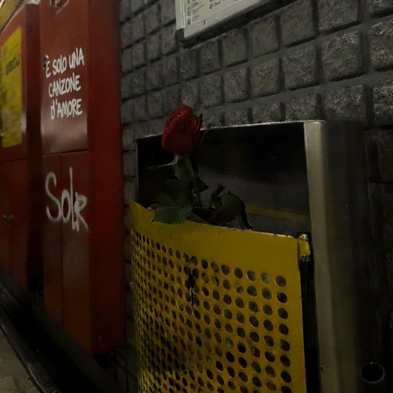 Visual reale di È solo una canzone d’amore di Solr